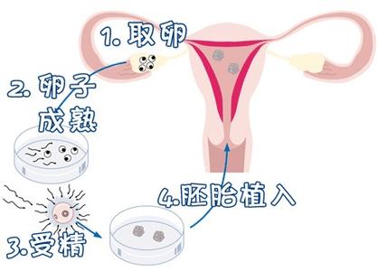 副院长